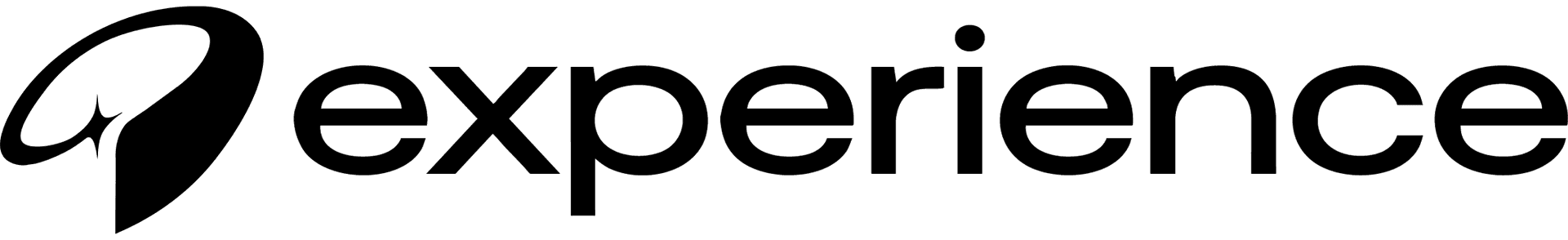 Experience wordmark in black